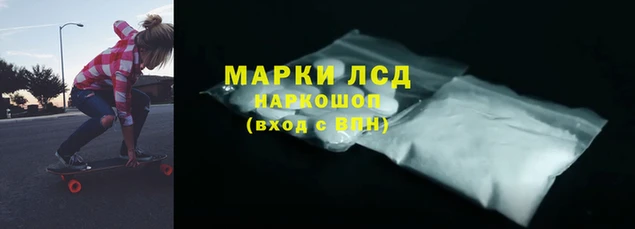 прущие крисы Верея