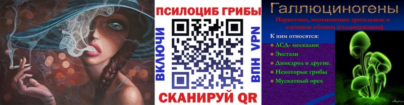где можно купить наркотик  Иваново  Псилоцибиновые грибы мухоморы 